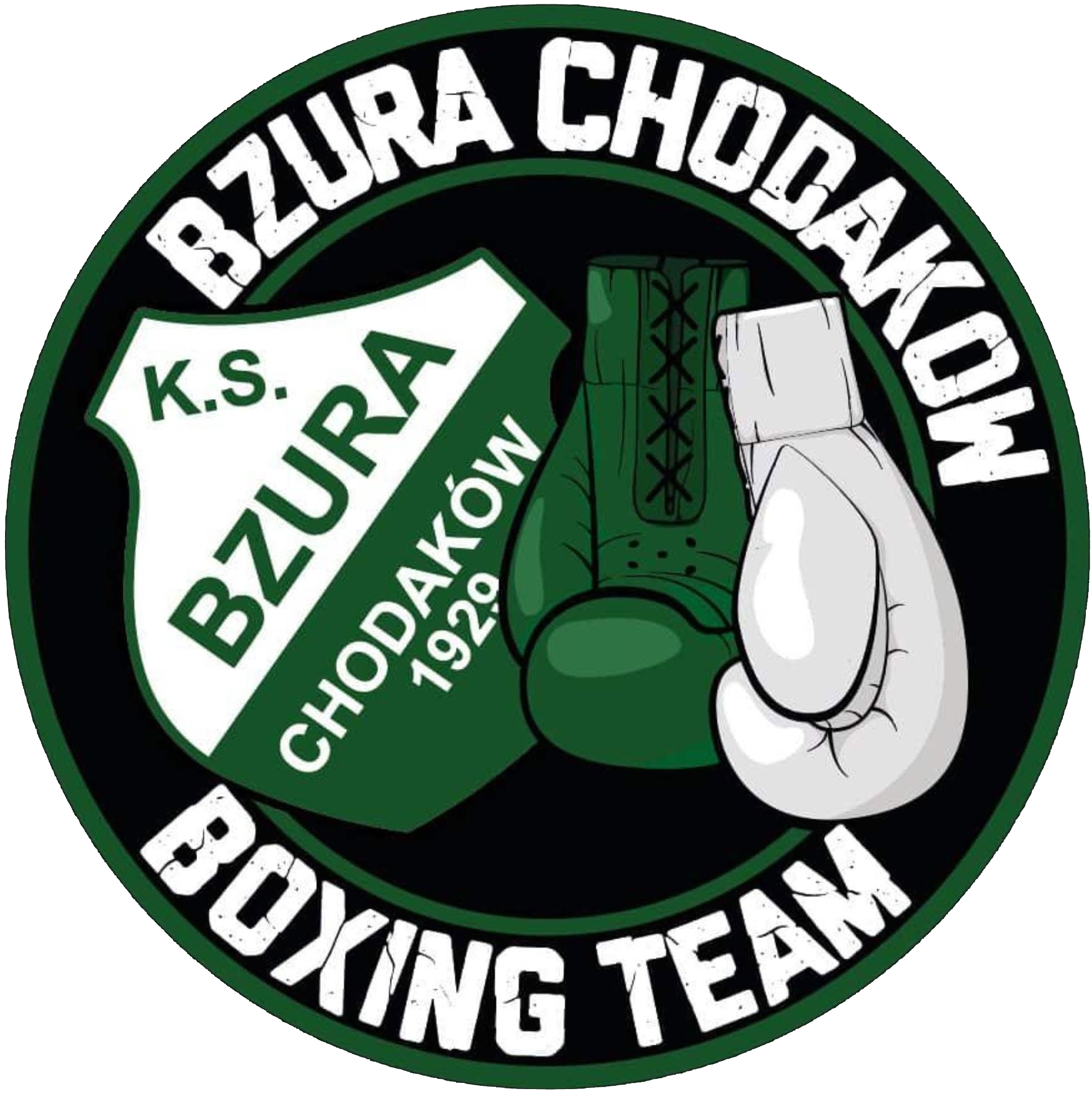 Logo Sekcji Boksu